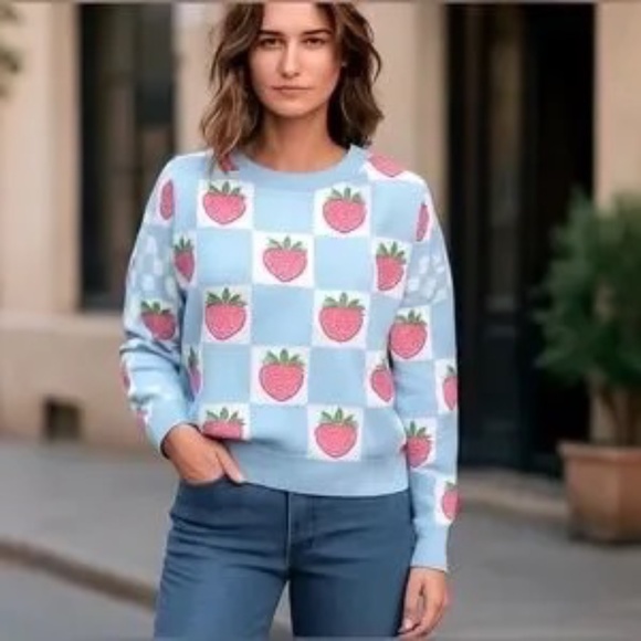 Anthropologie Luna Ivy Strawberry Blue White Checkered Sweater Size Large - Picture 13 of 13